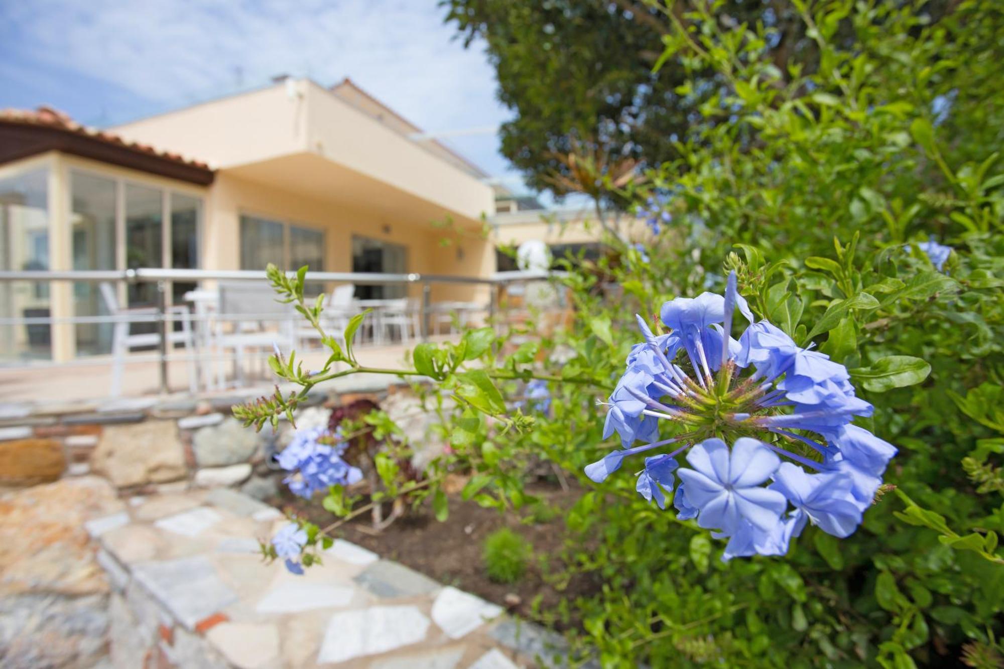 Achilleas Beach Hotel Adults Only Мастихари Экстерьер фото